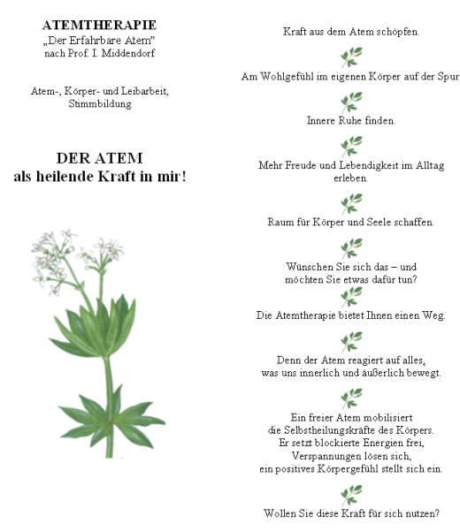 Prospekt: Der Atem als heilende Kraft in mir!