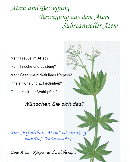 Prospekt: Der "Erfahrbare Atem" - Seite  1